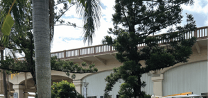 Story Bridge_project