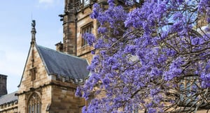 University of Sydney