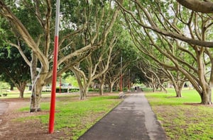 stleonardspark7